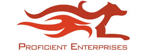 accfinoutsourcing